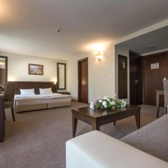 Отель Lion Borovets 4* Стандартный номер