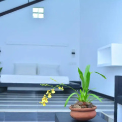 Отель Midigama Holiday Inn 3* Номер Делюкс с различными типами кроватей фото 4