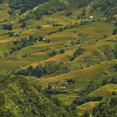 Отель Sapa Eden Hotel Вьетнам, Шапа - 1 отзыв об отеле, цены и фото номеров - забронировать отель Sapa Eden Hotel онлайн приотельная территория фото 2