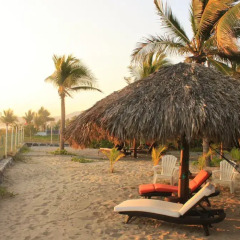 Отель Bungalows Tree Tops Мексика, Коакоюл - отзывы, цены и фото номеров - забронировать отель Bungalows Tree Tops онлайн пляж