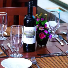 The Hotel Romano- Negombo гостиничный бар