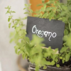 Отель Prünsterhof Горнолыжный курорт Ортлер спортивное сооружение