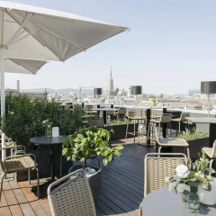 Отель The Ritz-Carlton, Vienna бассейн фото 2