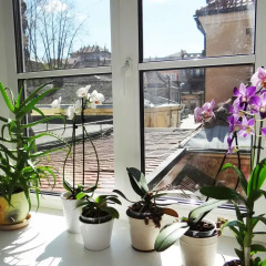 Отель Provence Home Апартаменты с различными типами кроватей