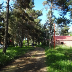 Отель Sevan lake cottage in Lavanda city парковка