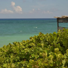 Отель Posada del Sol Tulum 3* Номер Делюкс с различными типами кроватей фото 26