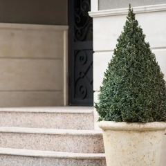 Отель Boutique Guest House Coco фото 2