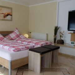 Отель Ferienwohnung Dresden Trachenberge Германия, Дрезден - отзывы, цены и фото номеров - забронировать отель Ferienwohnung Dresden Trachenberge онлайн комната для гостей фото 5