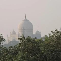 Отель Pearl Of Taj-Homestay фото 5