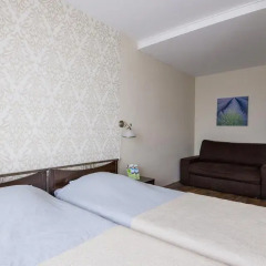 Hotel Mezaparks 3* Стандартный номер с 2 отдельными кроватями фото 12