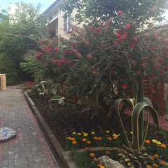 Гостиница Irina Guest House фото 4