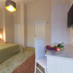 Mini Hotel Nevskaya Panorama Стандартный номер разные типы кроватей фото 2