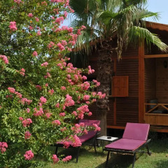 Отель Anatolia Resort Бунгало фото 11