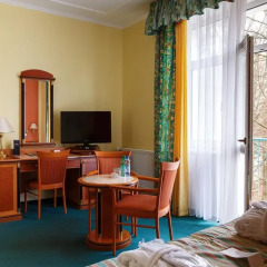 Villa Savoy Spa Park Hotel 4* Стандартный номер с различными типами кроватей фото 5