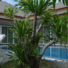 Отель 4 BR Pool Villa Gated Village бассейн фото 3
