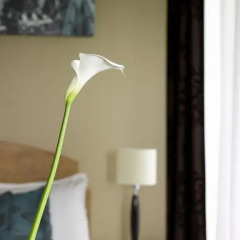 Отель Hilton Milan 4* Полулюкс с различными типами кроватей фото 8