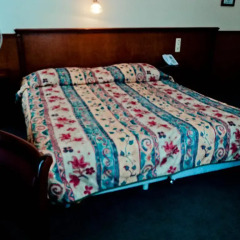 Hotel Continental Gare du Midi 2* Стандартный номер с 2 отдельными кроватями