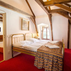Hotel Waldstein 4* Стандартный номер с различными типами кроватей фото 13