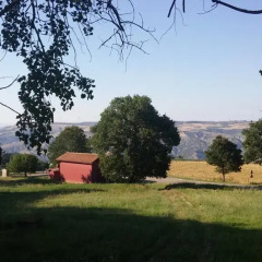 Отель Casa Vacanze Belvedere Саландра фото 8