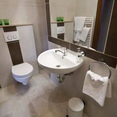 Hotel Sasone 3* Стандартный номер с различными типами кроватей фото 3