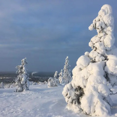 Отель Kakslauttanen Arctic Resort - Igloos and Chalets спортивное сооружение