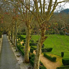 Отель Tivoli Palácio de Seteais фото 5