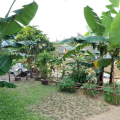Отель Seaside An Bang Homestay Вьетнам, Хойан - отзывы, цены и фото номеров - забронировать отель Seaside An Bang Homestay онлайн фото 2