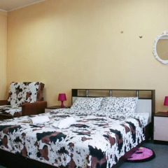 Hotel na Ligovskom 2* Стандартный номер с двуспальной кроватью фото 8