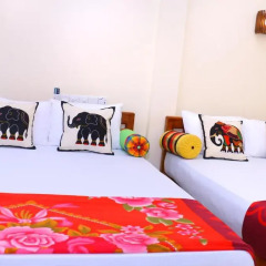 Отель Nature Resort Tissamaharama 3* Номер Делюкс с различными типами кроватей фото 4