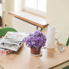 Hostel Jamaika в номере