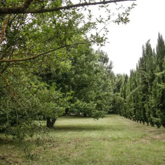 Отель Villa Isabella Италия, Гроттаферрата - отзывы, цены и фото номеров - забронировать отель Villa Isabella онлайн фото 3