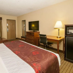 Отель Best Western Vicksburg Inn 2* Стандартный номер с различными типами кроватей фото 14