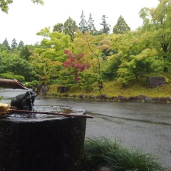 Отель Yufuin Ryokan Baien Хидзи приотельная территория фото 2