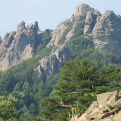 Гостевой Дом Уютный Дворик фото 2