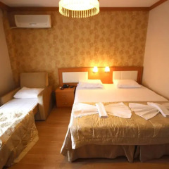 Flower Palace Hotel 3* Стандартный номер с различными типами кроватей фото 3
