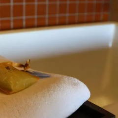 Отель JW Marriott Los Cabos Beach Resort & Spa 4* Стандартный номер с различными типами кроватей фото 8