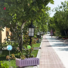 Hotel Ozlem Garden 3* Бунгало с различными типами кроватей фото 4