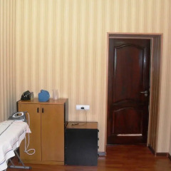 Отель Villa Rosa Samara Узбекистан, Ташкент - отзывы, цены и фото номеров - забронировать отель Villa Rosa Samara онлайн удобства в номере фото 2