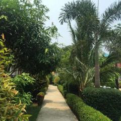 Отель Hana Lanta Resort Таиланд, Ланта - отзывы, цены и фото номеров - забронировать отель Hana Lanta Resort онлайн фото 11