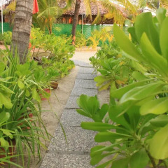 Отель Bungalows Tree Tops Мексика, Коакоюл - отзывы, цены и фото номеров - забронировать отель Bungalows Tree Tops онлайн фото 4
