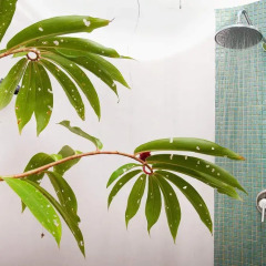 Отель Bang Tao Bali Villa ванная
