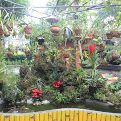 Отель Betel Garden Villas 3* Люкс с различными типами кроватей фото 2