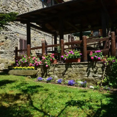 Отель Agriturismo Flora Поппи фото 2