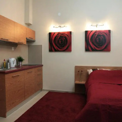 Отель Apartamenty Brzozowa - Centrum Закопане комната для гостей фото 2