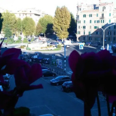 Отель Fiore Vaticano B&B