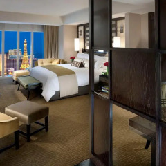 Отель Waldorf Astoria Las Vegas 5* Студия с различными типами кроватей фото 3