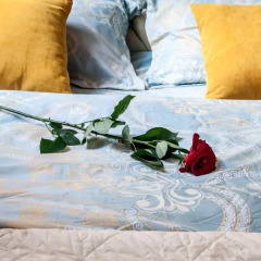 Гостиница Queens Apartments Украина, Львов - отзывы, цены и фото номеров - забронировать гостиницу Queens Apartments онлайн фото 2