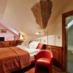 Hotel U Páva 4* Стандартный номер с различными типами кроватей фото 10