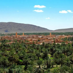 Отель Residence Rosas Марокко, Уарзазат - отзывы, цены и фото номеров - забронировать отель Residence Rosas онлайн