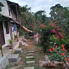 Отель Peace Guest House Pokhara Непал, Покхара - отзывы, цены и фото номеров - забронировать отель Peace Guest House Pokhara онлайн фото 11